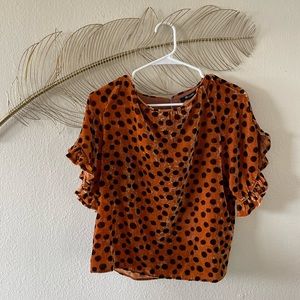 Madewell Velvet Leopard Print Blouse